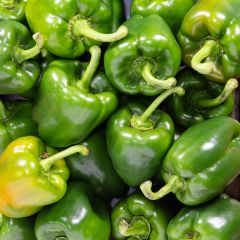 500011C Green Peppers (fresh)