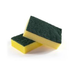 308286S Sponge Scourers (Caterforce)