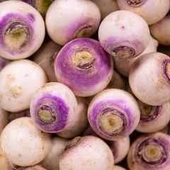 500412C Baby Turnip
