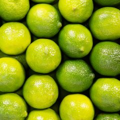 500167C Limes (Fresh)