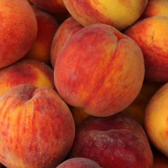 500203C Peaches (fresh)