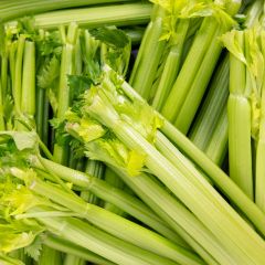 500311C Celery (case) (fresh)