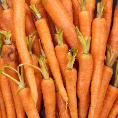 500322C Baby carrots (fresh)