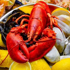 FISH028 Whole Cooked Lobster