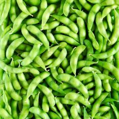 206631C Edamame Beans in Pods (Leathams)