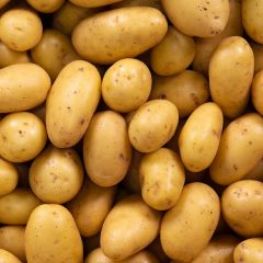 500022c Baby Mid Potatoes (fresh)