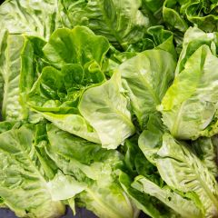 500431C Little Gem Lettuce (fresh)