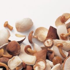 203186C Woodland Mushroom Mix (Ardo)