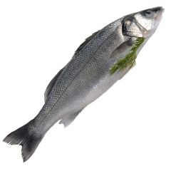 FISH008 Whole Sea Bass 400-600g