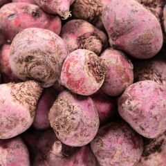 500371C Candy Beetroot (fresh)