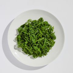 500312C Rocket (fresh)