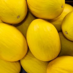 500067C Honeydew Melons (fresh)
