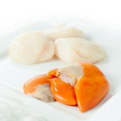 FISH012 King Scallop Meat