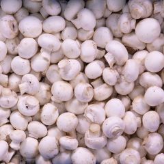 500389C Baby Button Mushrooms (fresh)