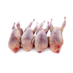 FISH061 Whole Bone In Quail 1x4 (frozen)