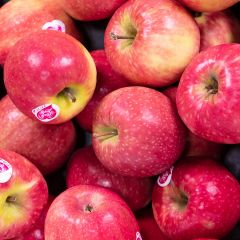 500337C Pink Lady Apples (fresh)