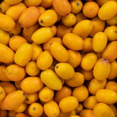500198C Kumquats (fresh)