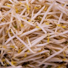 500003C Bean Sprouts (fresh)
