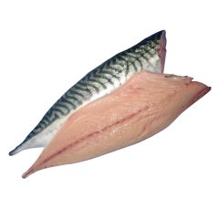 FISH078 Mackerel Fillets