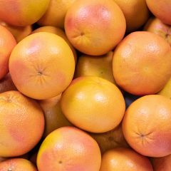 500158C Pink Grapefruit (fresh)