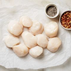 205903C Roeless Scallops U/20 (Ocean Pearl)