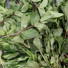 500159C Mint (fresh)
