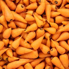 500183C Chantenay Carrots