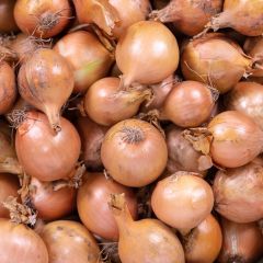 500319C Pickling Onions (fresh)