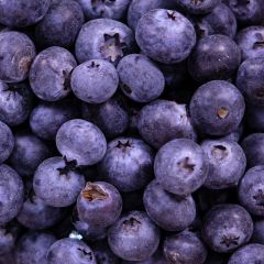 500179C Blueberries (fresh)