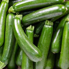500043C Courgettes (fresh)