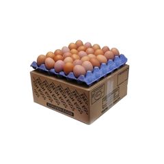 307914C Medium Eggs (small case)