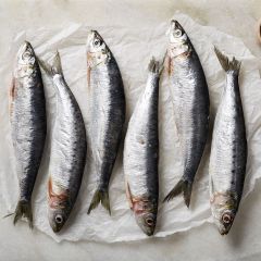 205810S Sardines (Ocean Pearl)