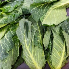 500009C Spring Cabbage (fresh)