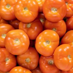 500380C Beef Tomatoes (box) (fresh)