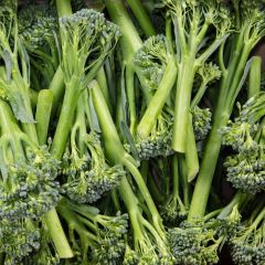 500361C Tender Stem Broccoli (fresh)