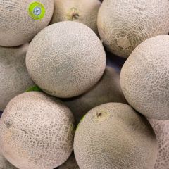 500227C Canteloupe Melons (fresh)