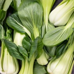 500234C Pak Choi (fresh)
