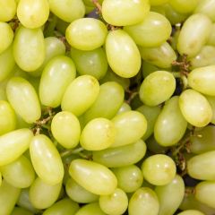 500058C Seedless Green Grapes (fresh)