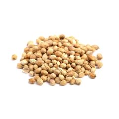 308746S Coriander Seeds (Centaur)