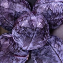 500271C Red Cabbage (sack) (fresh)