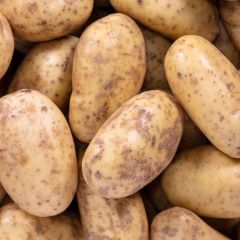 500020C Jacket Potatoes 60's (fresh)