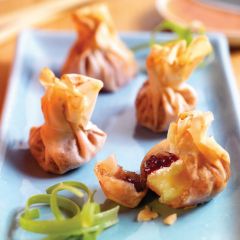 203326C Cranberry & Brie Wonton (Scheff)