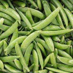 500124C Sugar Snap Peas (fresh)