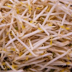 500423C Bean Sprouts (fresh)