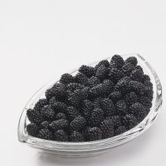 200108S Blackberries (Ardo)