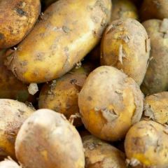 New Potatoes (Jersey Royals)