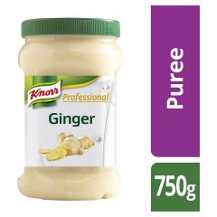 307258C Ginger Puree (Knorr)
