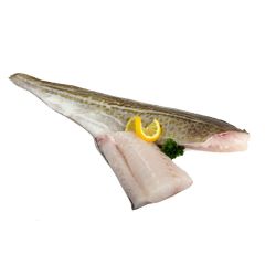 FISH013 Cod Fillets 450-900g