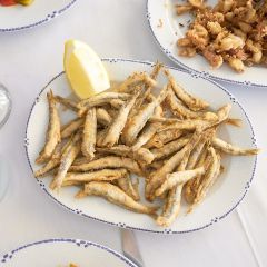 205813S Whitebait (Paramount)