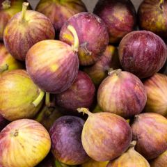 500108C Figs (fresh)